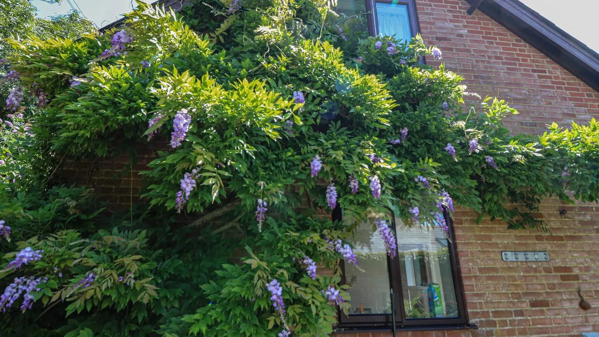 Northern Byre Christchurch  Holiday home Christchurch (Dorset)